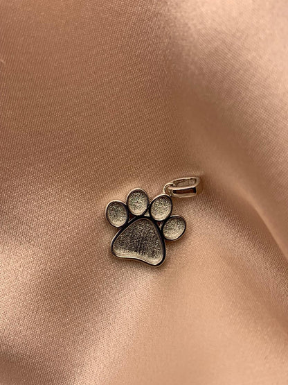 Sterling silver paw print pendant with pet ashes or fur set in resin, on chain - EverKeepsakes